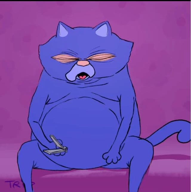 Blue Coughing Belieber Cat