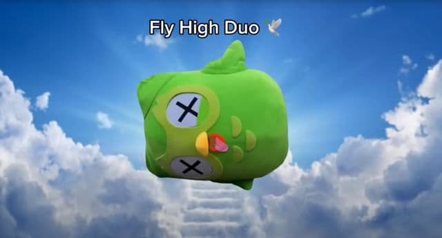 Duo From Duolingo Dies