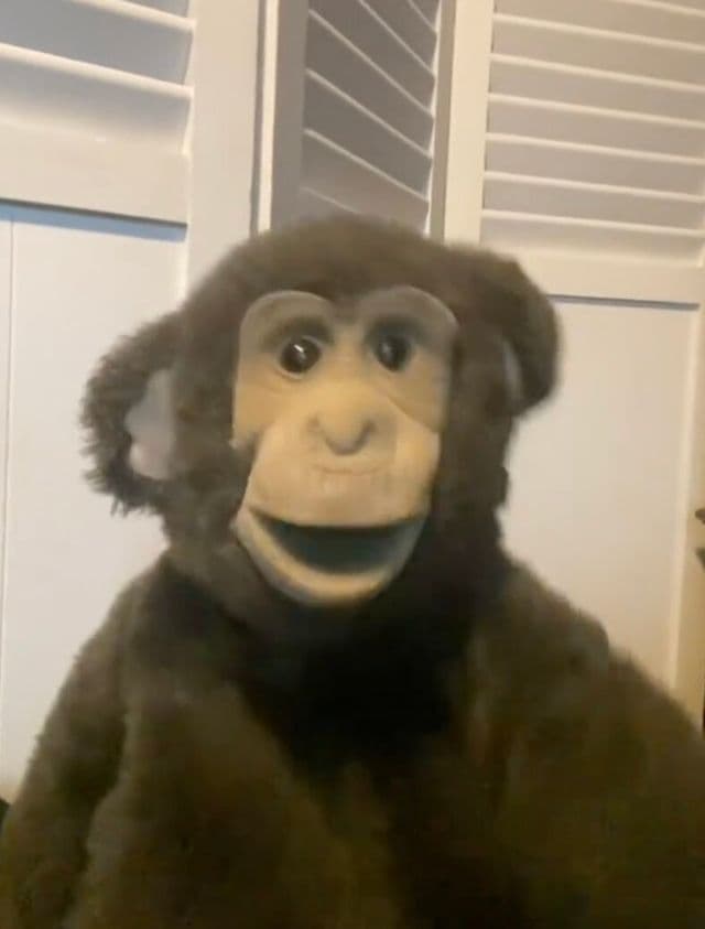 You Better Not Mess With My Gang